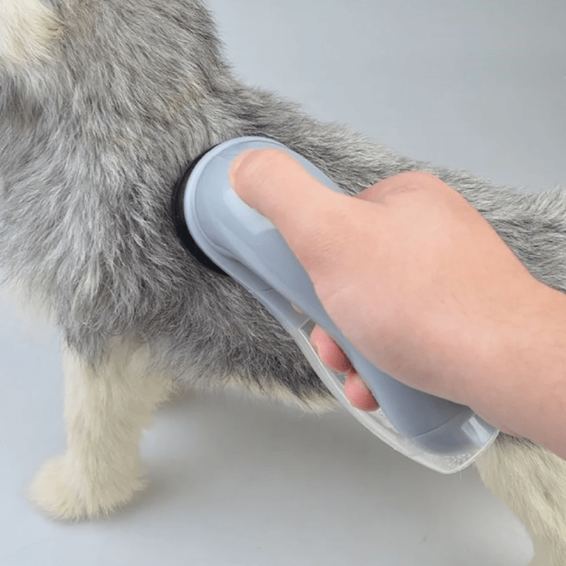 Aspirateur à main pour poils d’animaux