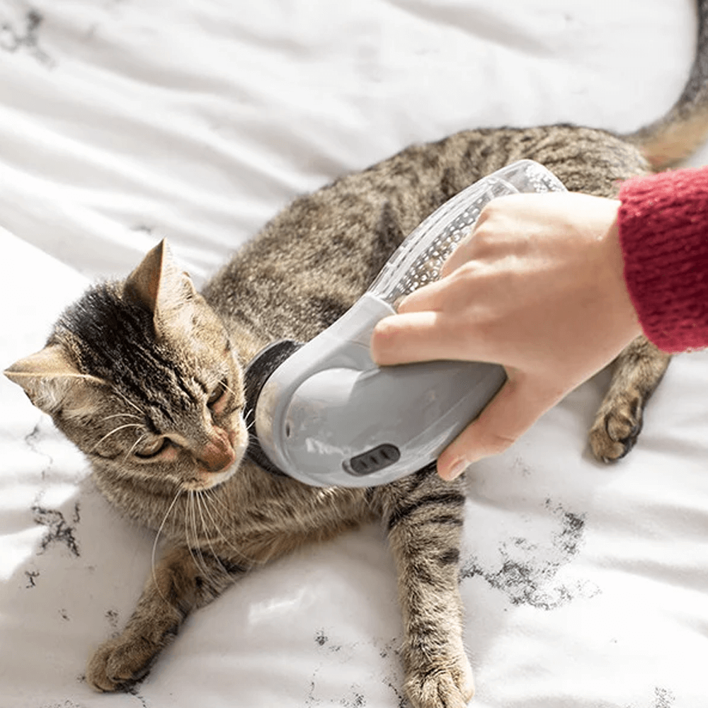 Aspirateur à main pour poils d’animaux