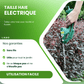 Taille haie électrique sans fil